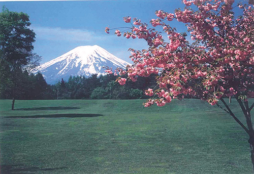 諏訪の森自然公園（富士パインズパーク）