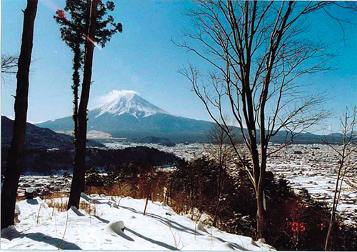 堂尾山公園