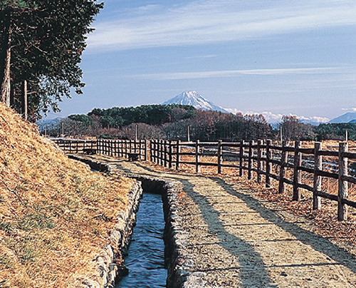 八反歩水路・遊歩道