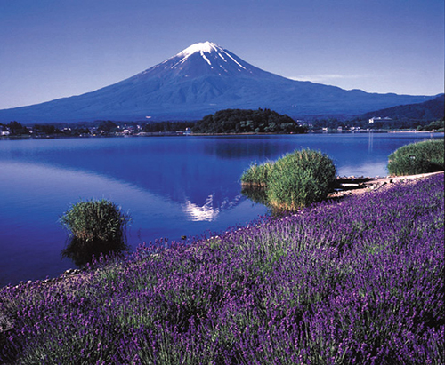 大石公園と周辺広場