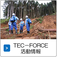 TEC-FORCE