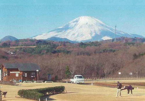 中井中央公園とその周辺からの富士（選定当時）