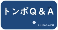 アモアミニ企画展トンボのからだ展Q＆A