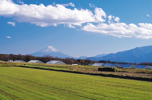 立沢大規模水田地帯