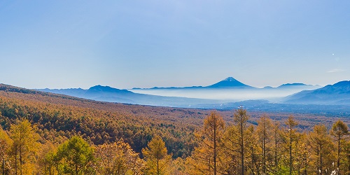 望峰富士山