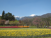 国営アルプスあづみの公園