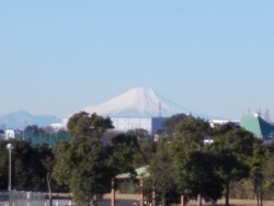 埼玉県　山元様