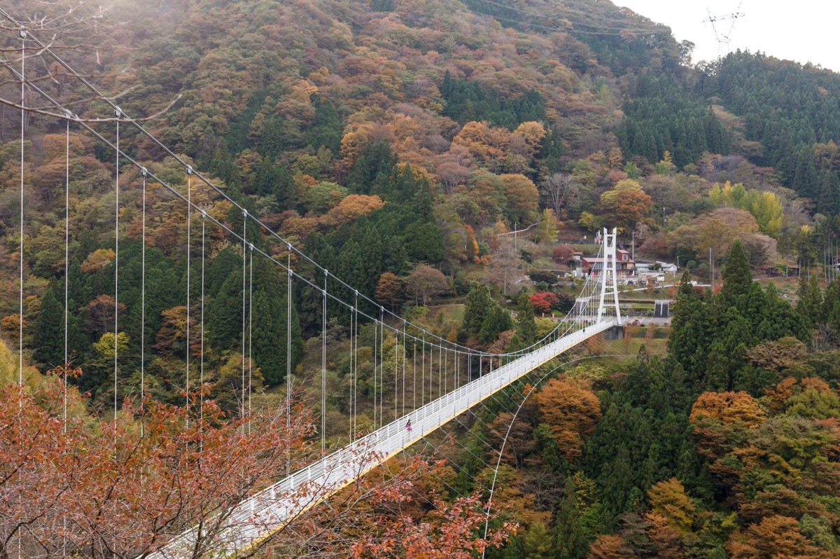 上野村 スカイブリッジ