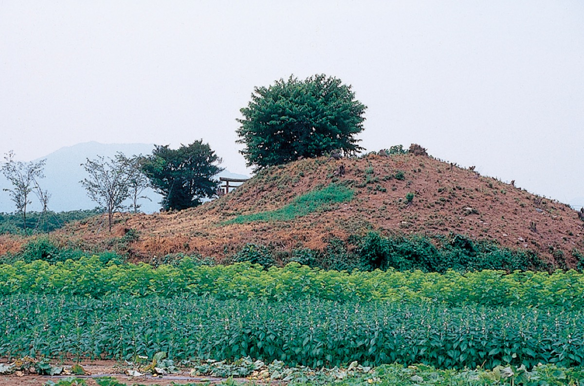 青柳古墳群