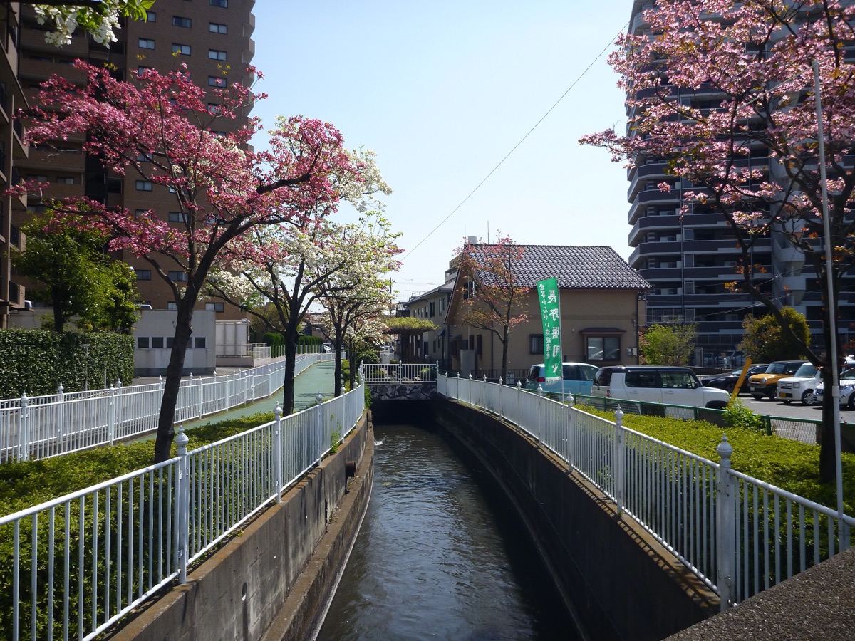 長野堰（長野堰用水円筒分水）