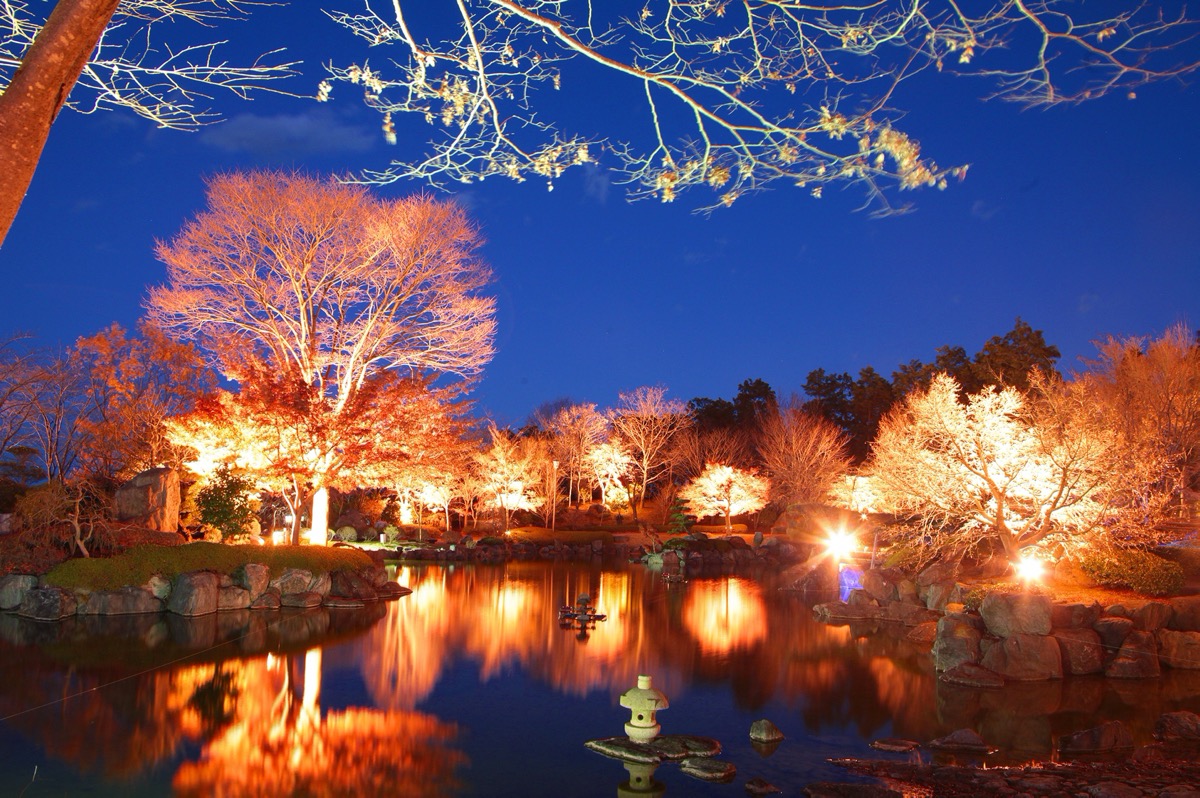 桜山公園