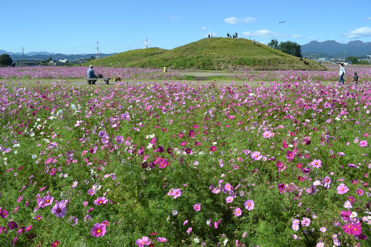 上毛野はにわの里公園
