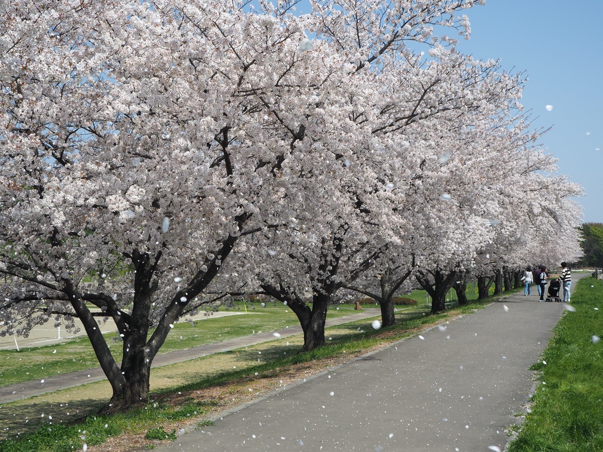 堤調節池運動公園