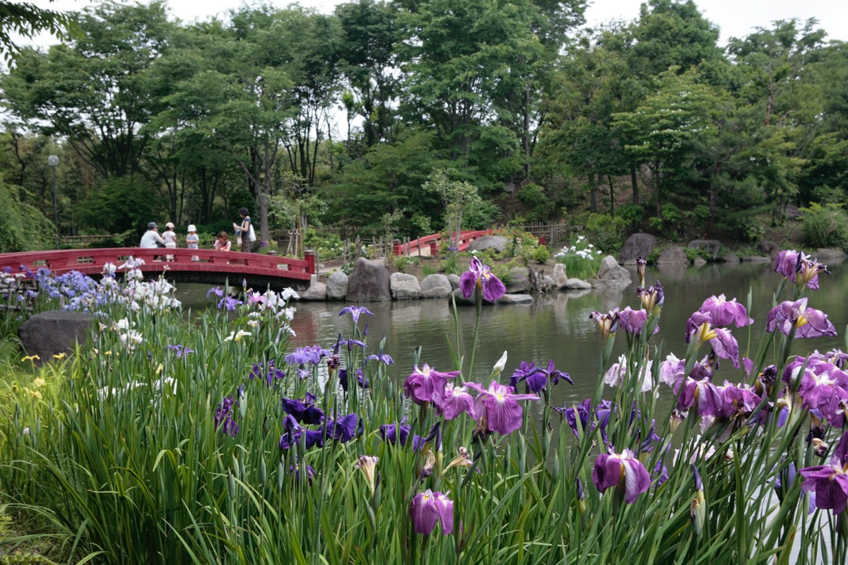 浜川運動公園
