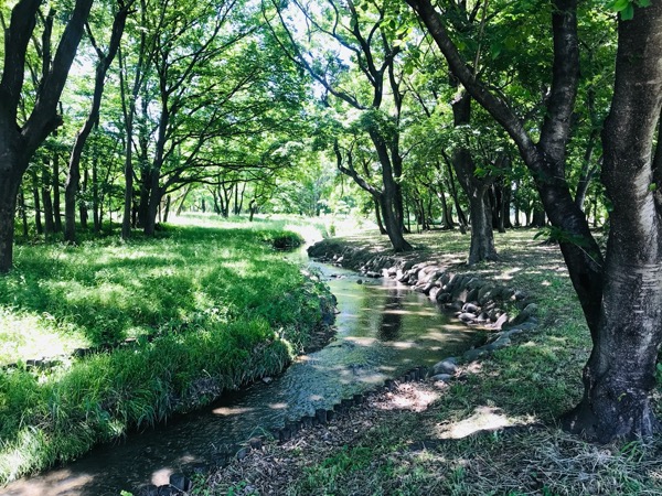 水辺の森公園