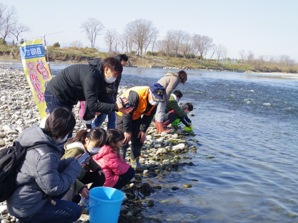 上里町・鮭の観察学習会（稚魚の放流）