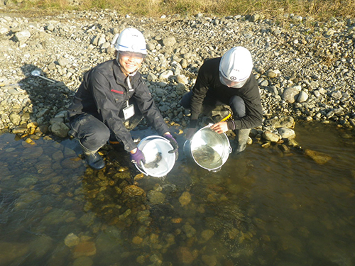 川の水をなくしてギョめんなさい