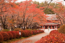  蓼科山聖光寺