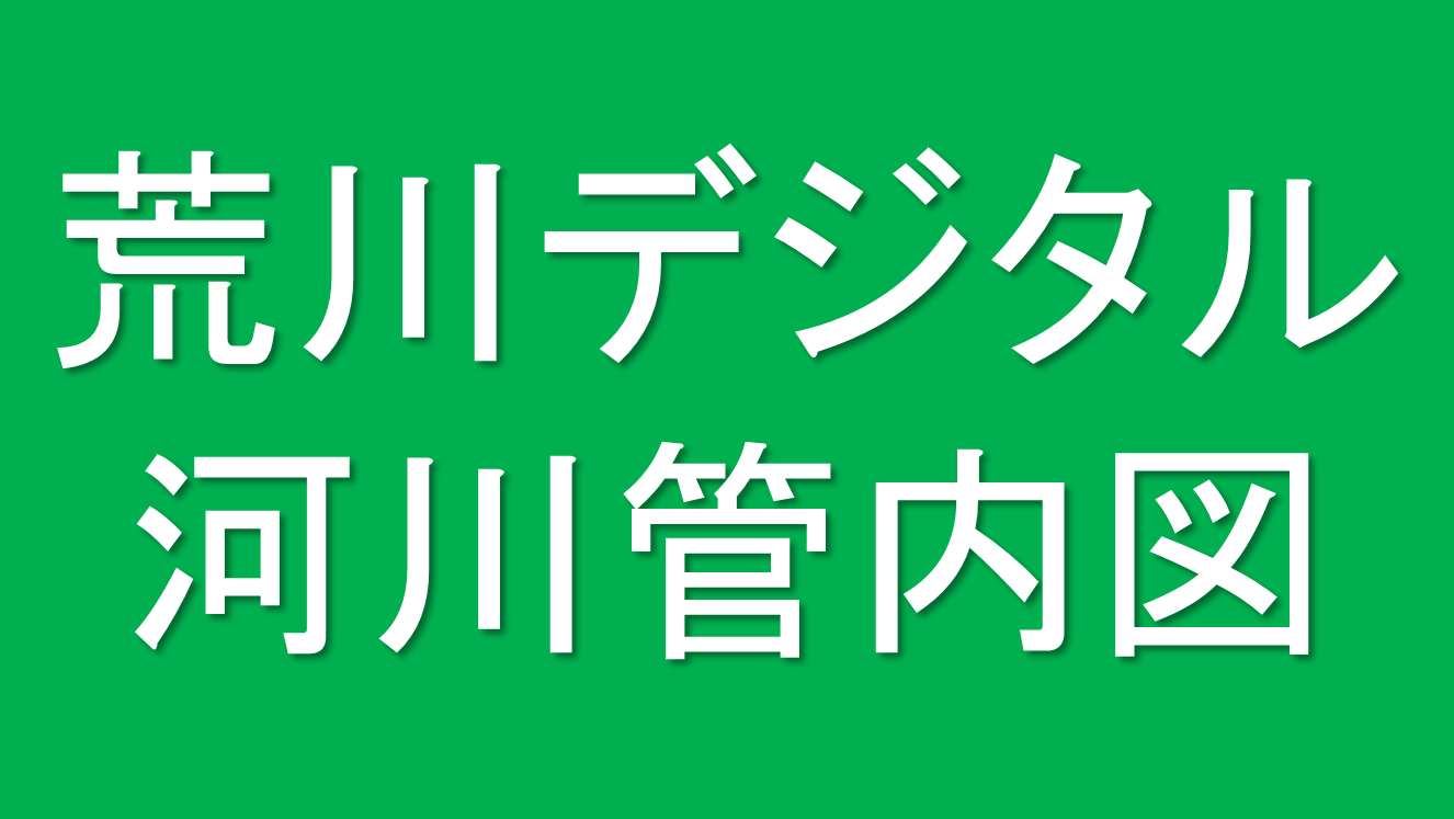 荒川3D河川管内図（下流域）