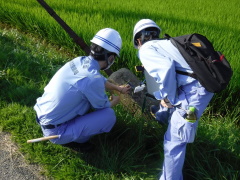 現地調査の様子2