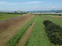 除草は続くよ、どこまでも。