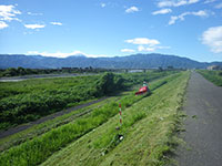 富士川の堤防除草工