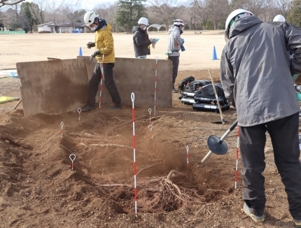 エアースコップで掘り取り