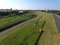 除草作業を行っています。