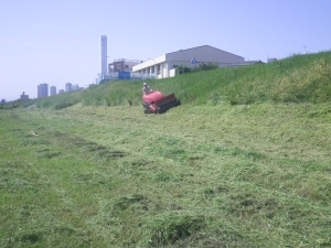 堤防除草風景1