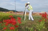 繁忙期　畔に群れ咲く　彼岸花