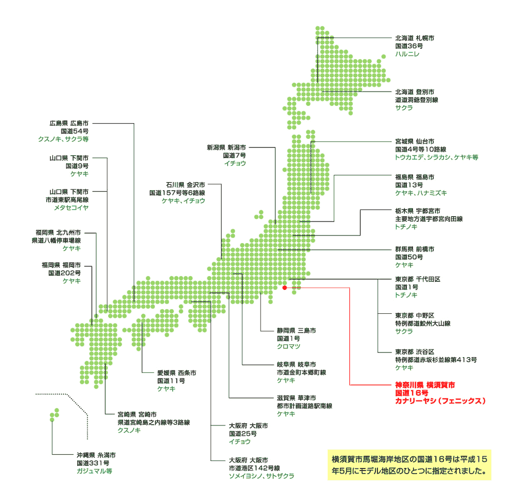 全国の緑陰道路プロジェクトモデル地区