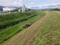 堤防の除草