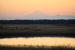 栃木県　野亦様