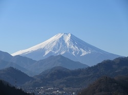 埼玉県　岡田様