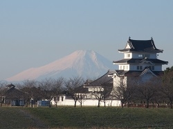 埼玉県　岡田様