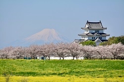 栃木県　野亦様