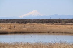 栃木県　野亦様