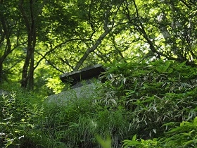 祠