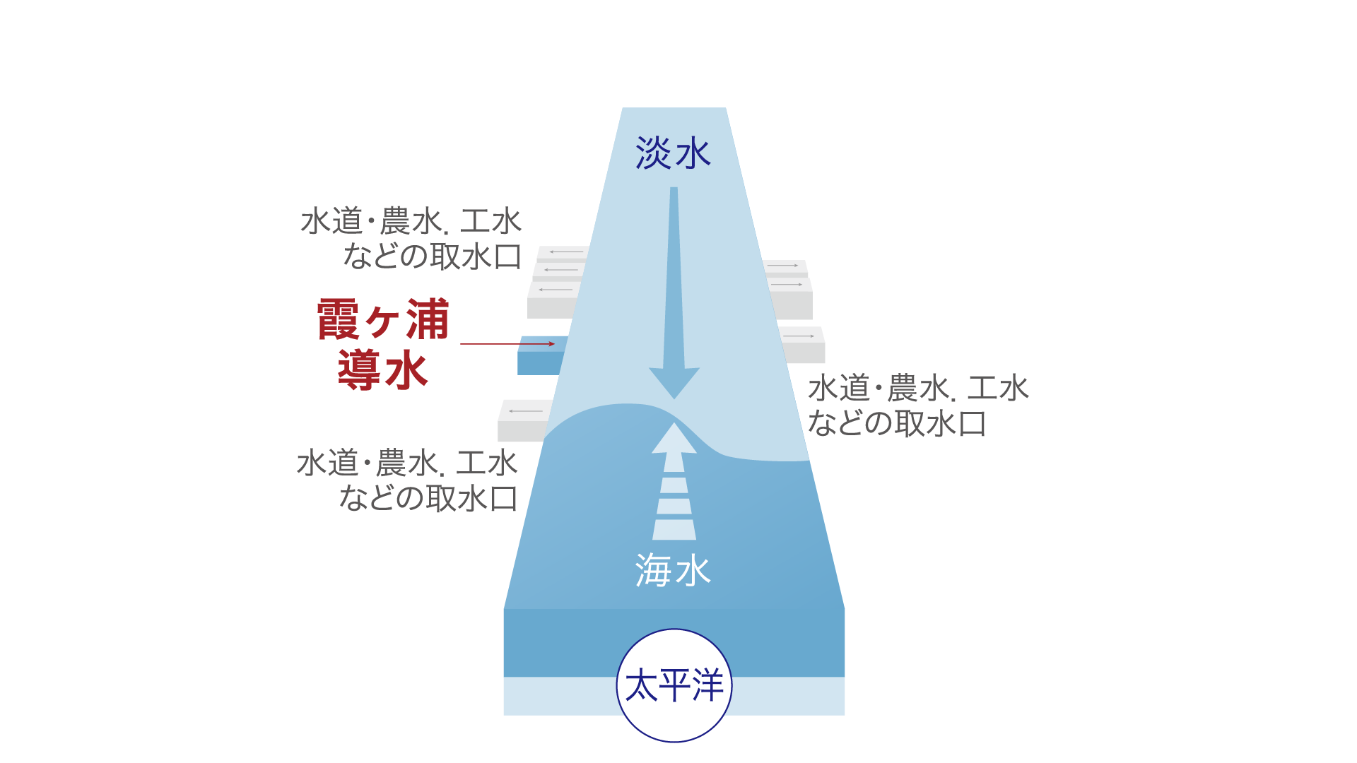 塩水遡上