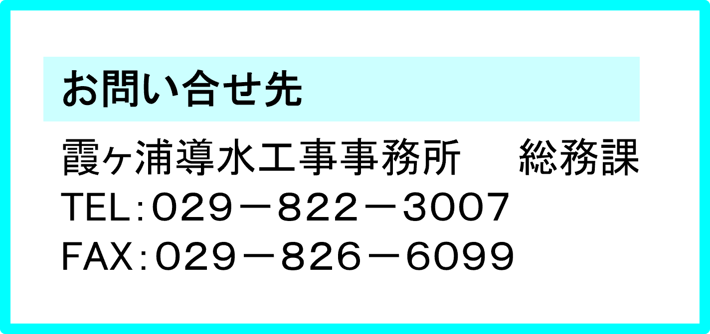 問い合わせ先