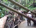 TEC-FORCE通信（NO.12)