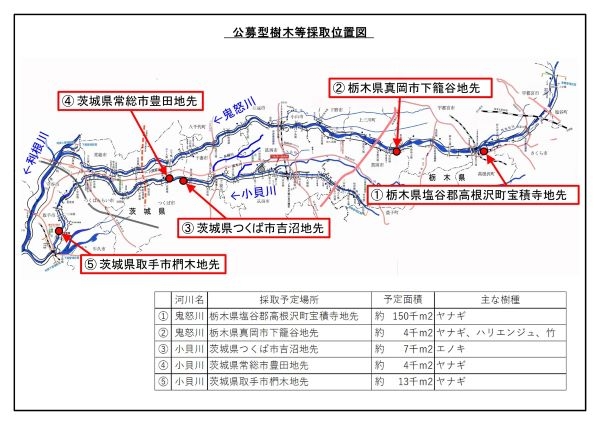 Ｒ６公募伐採チラシ（裏面）