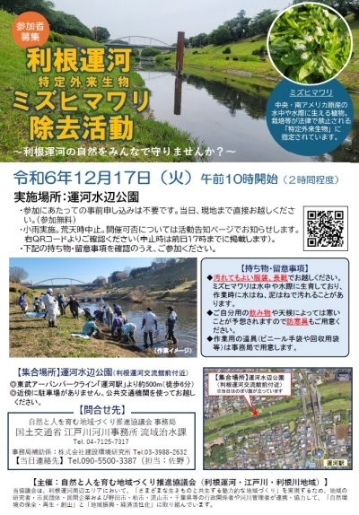 利根運河ミズヒマワリ除去活動　参加者募集リーフレット