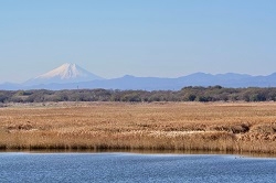 栃木県　野亦様