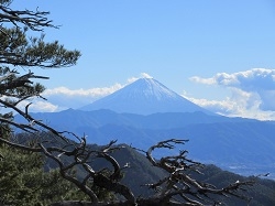埼玉県　岡田様