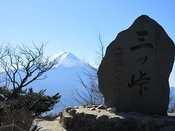 埼玉県　岡田様