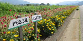 関東第2号　千曲川・花の里山風景街道