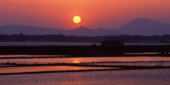 関東第6号　千変万化の筑波山「まち」「さと」周遊ルート