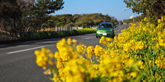 関東第12号　南房総・花海街道