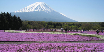関東第15号　中部第2号　ぐるり・富士山風景街道